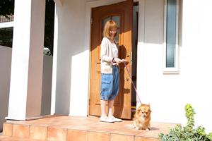 ヒルズの高品質な犬用療法食を選ぶなら