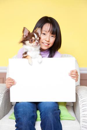 ペット保険は年齢によって料金が変わる