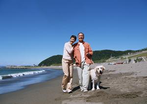 シロアリ駆除の専門サービス|アサンテで安心の施工と無料診断を提供