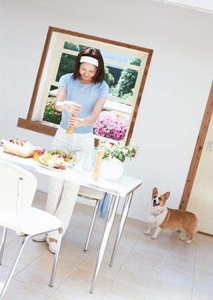 シロアリ駆除の専門アサンテ:即日対応と信頼の実績で安心の害虫駆除サービス