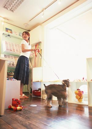 お酒も飲める猫カフェの楽しみ方