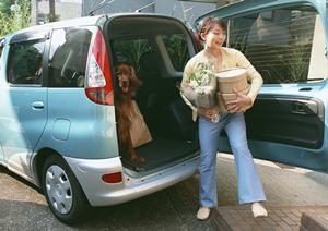 シロアリ駆除のスペシャリストアサンテ|即日対応&土日祝も対応で安心のサービス